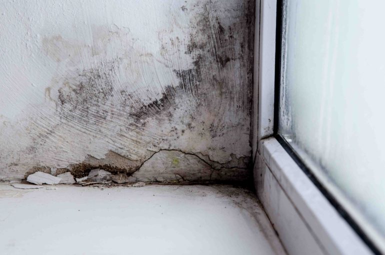 mold in the corner of the window